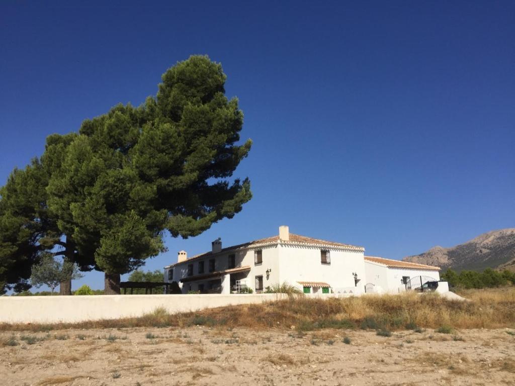 B&B Cortijo El Ciruelo Chirivel Zewnętrze zdjęcie