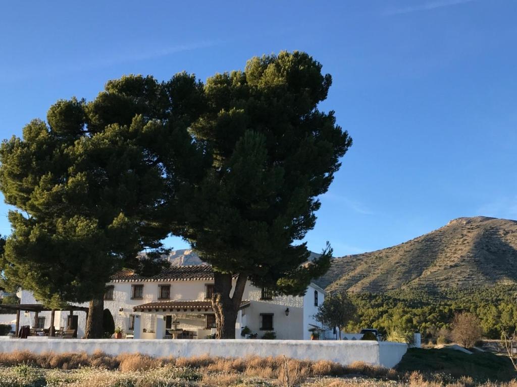 B&B Cortijo El Ciruelo Chirivel Zewnętrze zdjęcie