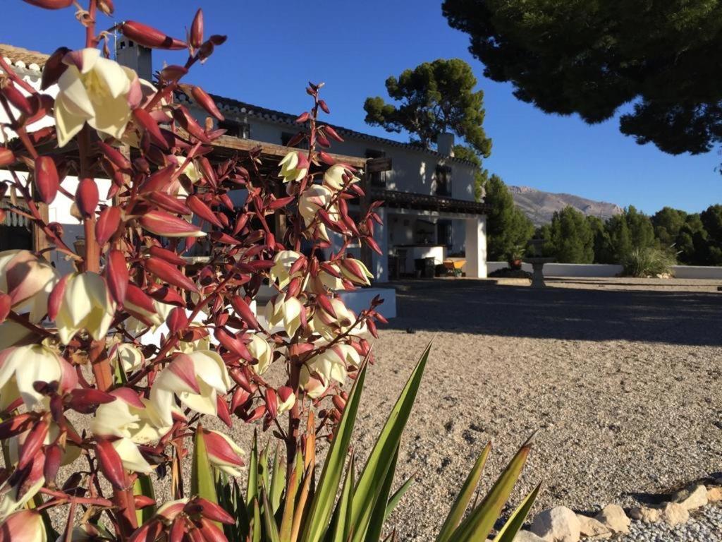 B&B Cortijo El Ciruelo Chirivel Zewnętrze zdjęcie
